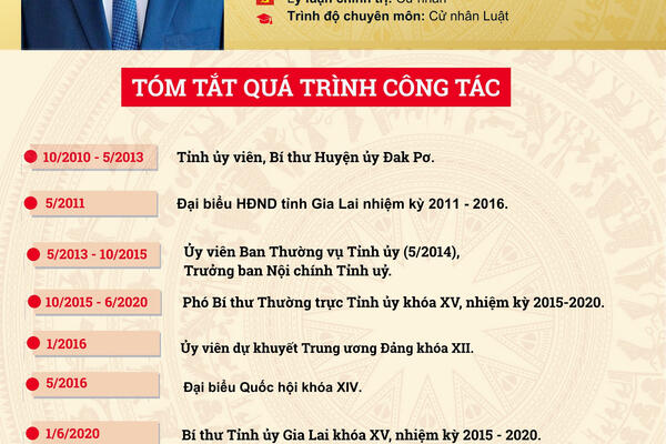 [Infographic]. Quá trình công tác của Bí thư Tỉnh ủy Quảng Ngãi Hồ Văn Niên